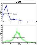 CDH10 Antibody in Flow Cytometry (Flow)