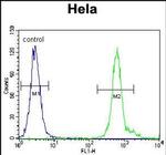 WDR70 Antibody in Flow Cytometry (Flow)