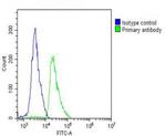 TARC Antibody in Flow Cytometry (Flow)