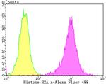 Histone H2A.X Antibody in Flow Cytometry (Flow)
