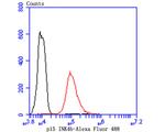 CDKN2B Antibody in Flow Cytometry (Flow)