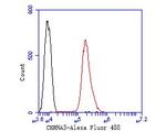 CHRNA3 Antibody in Flow Cytometry (Flow)