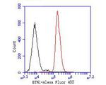ENT1 Antibody in Flow Cytometry (Flow)