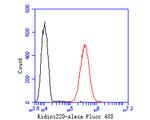 KIDINS220 Antibody in Flow Cytometry (Flow)