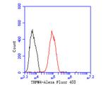 TRPM4 Antibody in Flow Cytometry (Flow)