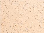 Phospho-PDPK1 (Ser241) Antibody in Immunohistochemistry (Paraffin) (IHC (P))