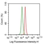 Catalase Antibody in Flow Cytometry (Flow)