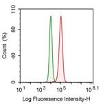 C1QBP Antibody in Flow Cytometry (Flow)
