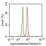 CNP Antibody in Flow Cytometry (Flow)
