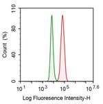 Cytokeratin 8 Antibody in Flow Cytometry (Flow)