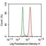 CRM1 Antibody in Flow Cytometry (Flow)