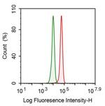 Fibrinogen Beta Chain Antibody in Flow Cytometry (Flow)