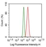 GNA11 Antibody in Flow Cytometry (Flow)