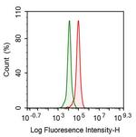 G6PD Antibody in Flow Cytometry (Flow)