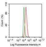GRB10 Antibody in Flow Cytometry (Flow)