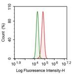 GBP4 Antibody in Flow Cytometry (Flow)