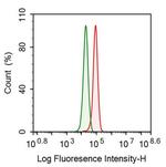 LMAN1 Antibody in Flow Cytometry (Flow)
