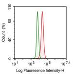 PDCD6 Antibody in Flow Cytometry (Flow)