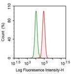 PSMD9 Antibody in Flow Cytometry (Flow)