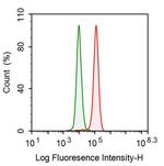 PKM2 Antibody in Flow Cytometry (Flow)