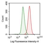 PKM2 Antibody in Flow Cytometry (Flow)
