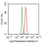 SHMT2 Antibody in Flow Cytometry (Flow)