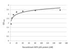 African Swine Fever Virus Structural Protein p54 Antibody in ELISA (ELISA)