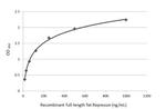 Tet Repressor Antibody in ELISA (ELISA)