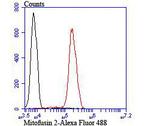 MFN2 Antibody in Flow Cytometry (Flow)