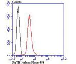 SATB1 Antibody in Flow Cytometry (Flow)