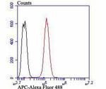 Protein APC Antibody in Flow Cytometry (Flow)