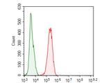 MCM7 Antibody in Flow Cytometry (Flow)