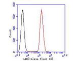 LMO2 Antibody in Flow Cytometry (Flow)