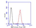 GBP2 Antibody in Flow Cytometry (Flow)