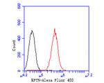 KPTN Antibody in Flow Cytometry (Flow)