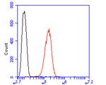 ILF1 Antibody in Flow Cytometry (Flow)