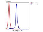 STAT1 alpha/beta Antibody in Flow Cytometry (Flow)
