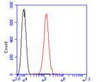 GRIK4 Antibody in Flow Cytometry (Flow)