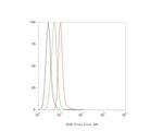 RGS6 Antibody in Flow Cytometry (Flow)