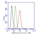 FAM13C Antibody in Flow Cytometry (Flow)