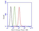 HLA-E Antibody in Flow Cytometry (Flow)