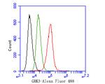GRK3 Antibody in Flow Cytometry (Flow)