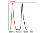GDF11 Antibody in Flow Cytometry (Flow)