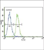 GADD45A Antibody in Flow Cytometry (Flow)