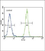 FOXP3 Antibody in Flow Cytometry (Flow)