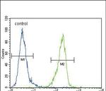 ENPP2 Antibody in Flow Cytometry (Flow)