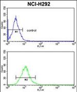 CD166 Antibody in Flow Cytometry (Flow)