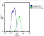 ABCB5 Antibody in Flow Cytometry (Flow)