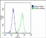 MAGEA2 Antibody in Flow Cytometry (Flow)