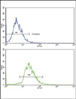 CD82 Antibody in Flow Cytometry (Flow)
